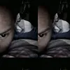 king28jb