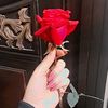 ✨❣️✨