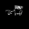 shahnawaz46784
