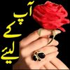 muhammad.ajmal4657