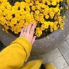 hn_nr123