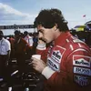 nerz.f1