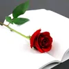 user4420431501343