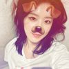 meow_44kotikk