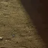 karar.mazen0