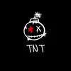 sk.tnt01