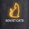 Cat Videos 🐱