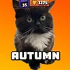autumn00379