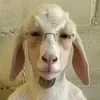 4sssssssss4