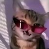 blueradiance_