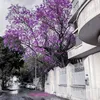 mohamedfadl083