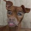 wizzyberry202