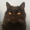 rayssawashere
