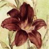 s.iriuss