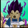 gonzaloelmaslindoq