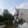 zead_77_