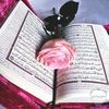 aziza.houidi