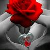 user74255816024937