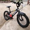 kinzaputralutfi1