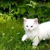 nour51477