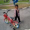 pann_428