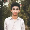 shahid.jameel4