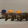 wwaz743