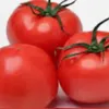 tomato54328