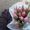 rosetea777