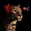 aya.mahmoud368