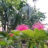 thae.thae4664