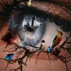 liralesartiste