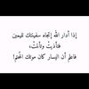 mohamad.braydi