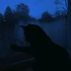_bngiiee_