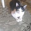 user7783050119141