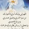 user5797171960561