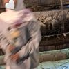 aboutzhwaa