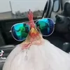 seizorhd