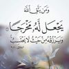 abbashammoud98