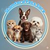 Stamford Pet Sitter