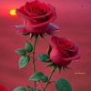 user1812781819835