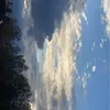 maral_amiri1