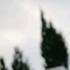 user3105760205935