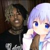 zxakashi