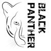 black.panthers_team