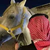 wael.ehsan