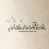 zohourhussein6