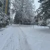 khanhandwyvlv