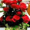 khaleedmh