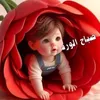 bashiir.kasim